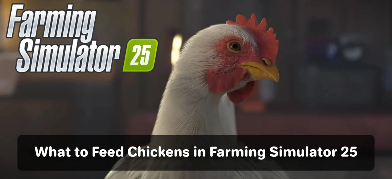 What to Feed Chickens in Farming Simulator 25